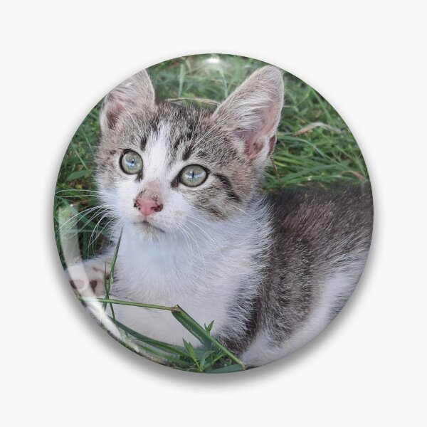 Item preview, Pawsitively Purrfect  designed and sold by SofiaByCruti.