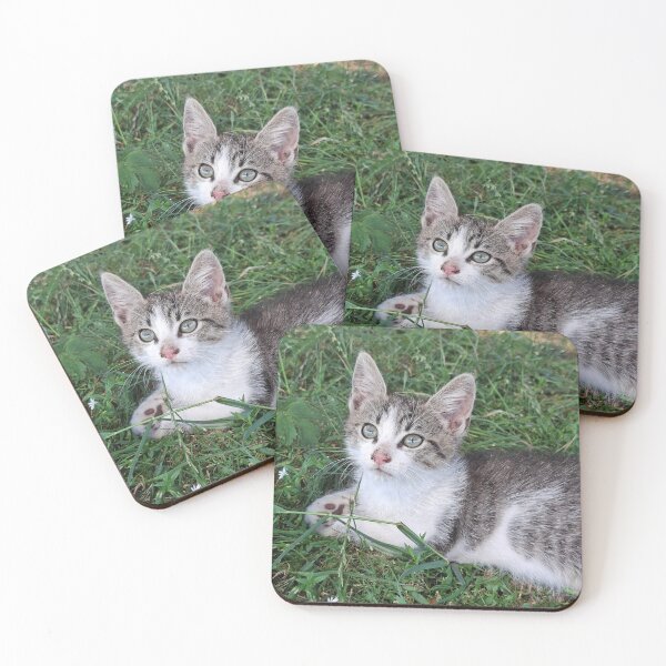 Item preview, Pawsitively Purrfect  designed and sold by SofiaByCruti.