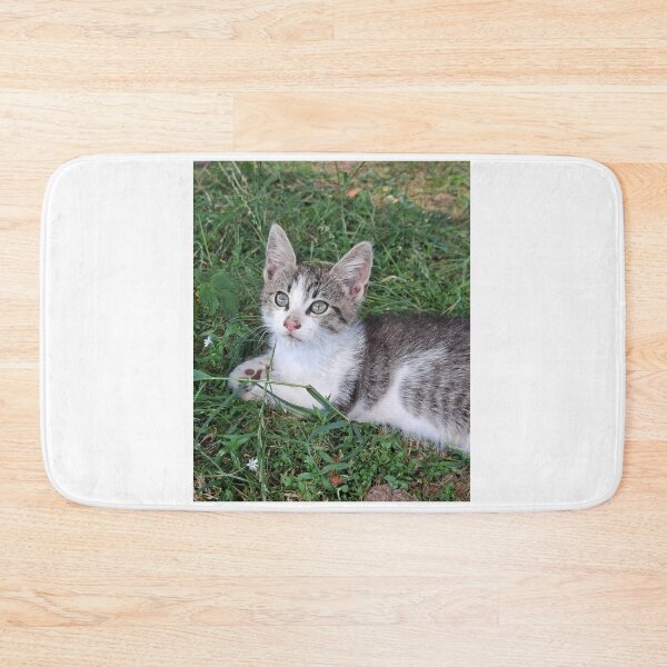 Item preview, Pawsitively Purrfect  designed and sold by SofiaByCruti.