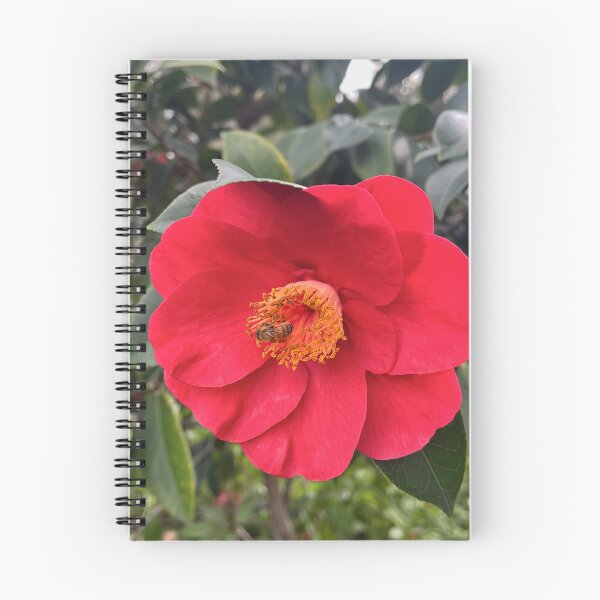 Aperçu de l'œuvre Abeille parmi les camélias rouges créée et vendue par Be Captured by Brittany Emma.