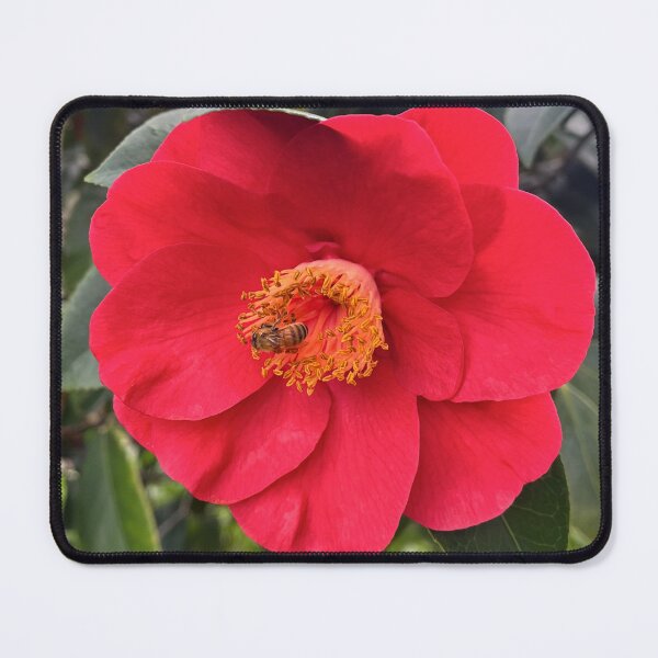 Item preview, Bee Among the Red Camellia designed and sold by Be Captured by Brittany Emma.