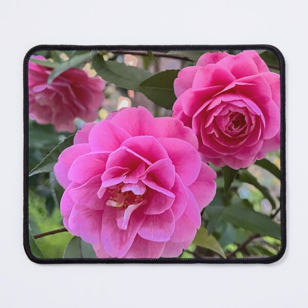 Item preview, Pink Camellias in Bloom designed and sold by Be Captured by Brittany Emma.
