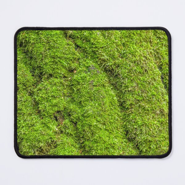 Item preview, Emerald Velvet on Ancient Bark designed and sold by MariaAbaza.