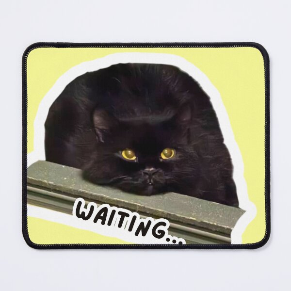 Item preview, Silent Supervisor Black Cat 2 PNG designed and sold by Xuemisi.