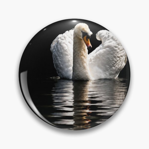 Item preview, Solitary Swan on Dark waters designed and sold by Astute-Artio-Photography.