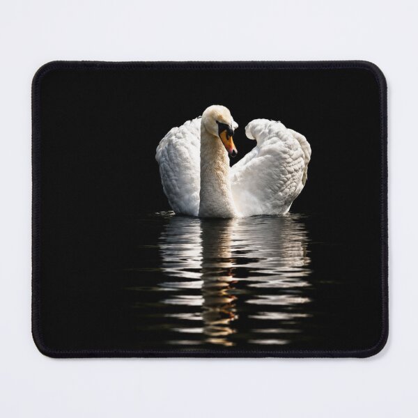 Item preview, Solitary Swan on Dark waters designed and sold by Astute-Artio-Photography.