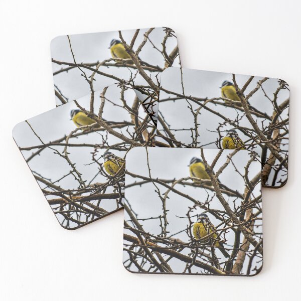 Item preview, Eurasian Blue Tits perched in bare tree designed and sold by Astute-Artio-Photography.