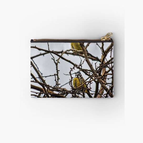Item preview, Eurasian Blue Tits perched in bare tree designed and sold by Astute-Artio-Photography.
