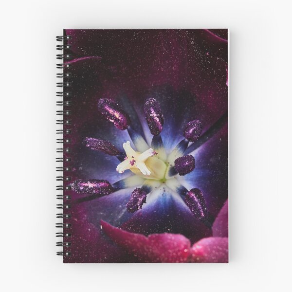 Item preview, It's full of stars designed and sold by Eidetic Photos.