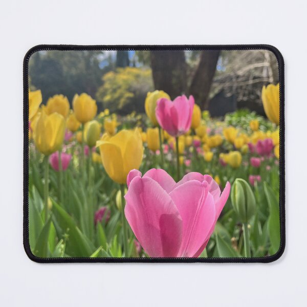 Item preview, Pink and Yellow Tulips Beneath the Clouds designed and sold by Be Captured by Brittany Emma.