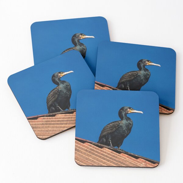 Item preview, Cormorant perched on rooftop in Whitby designed and sold by Astute-Artio-Photography.