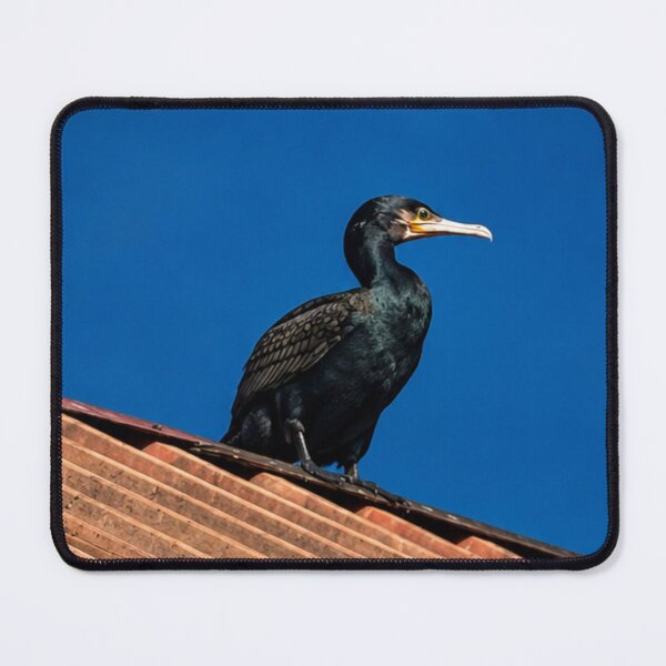 Item preview, Cormorant perched on rooftop in Whitby designed and sold by Astute-Artio-Photography.