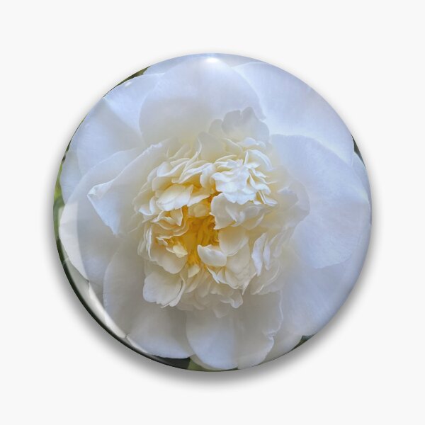 Item preview, Elegant White Camellia designed and sold by Be Captured by Brittany Emma.