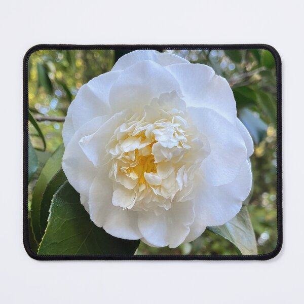 Item preview, Elegant White Camellia designed and sold by Be Captured by Brittany Emma.
