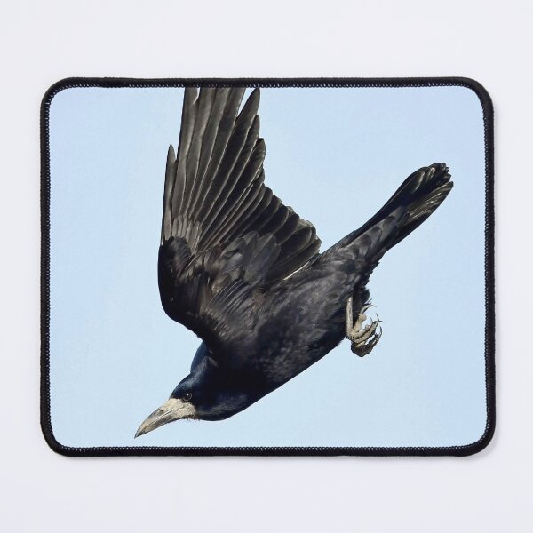 Item preview, Rook Diving Through a Clear Blue Sky designed and sold by AlongTimber.