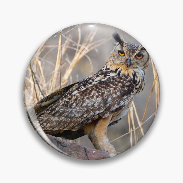 Item preview, Orange-Eyed Eagle Owl in the Dry Grass designed and sold by AlongTimber.