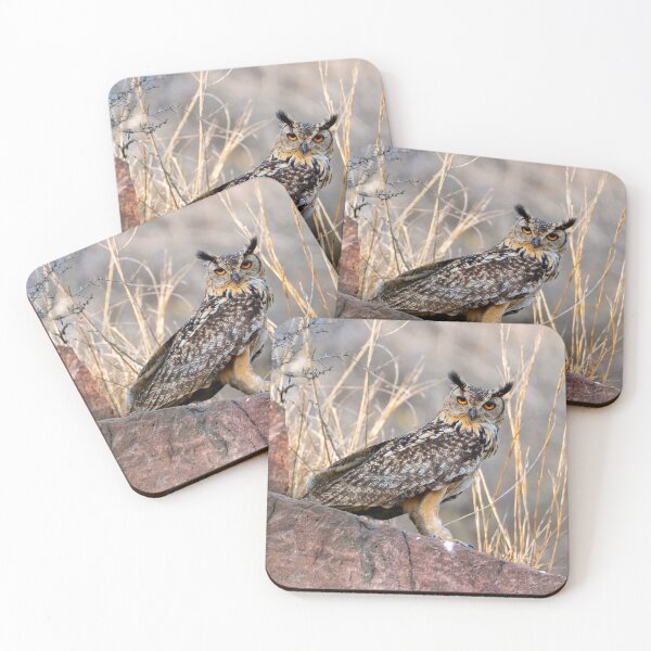 Item preview, Orange-Eyed Eagle Owl in the Dry Grass designed and sold by AlongTimber.
