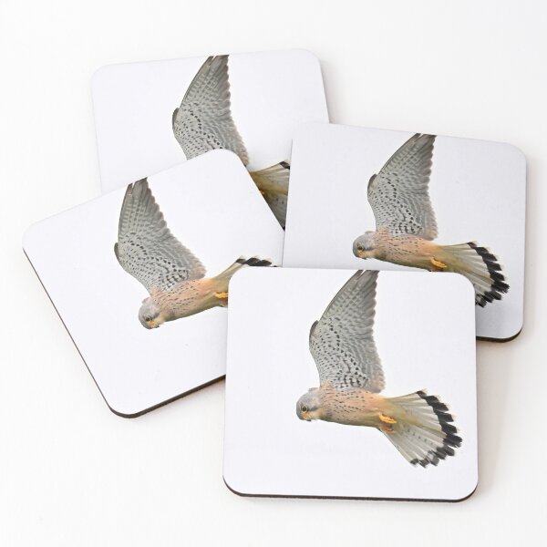Item preview, Kestrel Gliding on Open Wings designed and sold by AlongTimber.