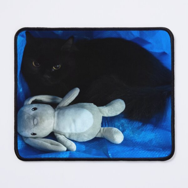 Item preview, Bills Paid. Soul Sold Black Cat PNG designed and sold by Xuemisi.