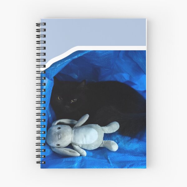 Item preview, Bills Paid. Soul Sold Black Cat PNG designed and sold by Xuemisi.
