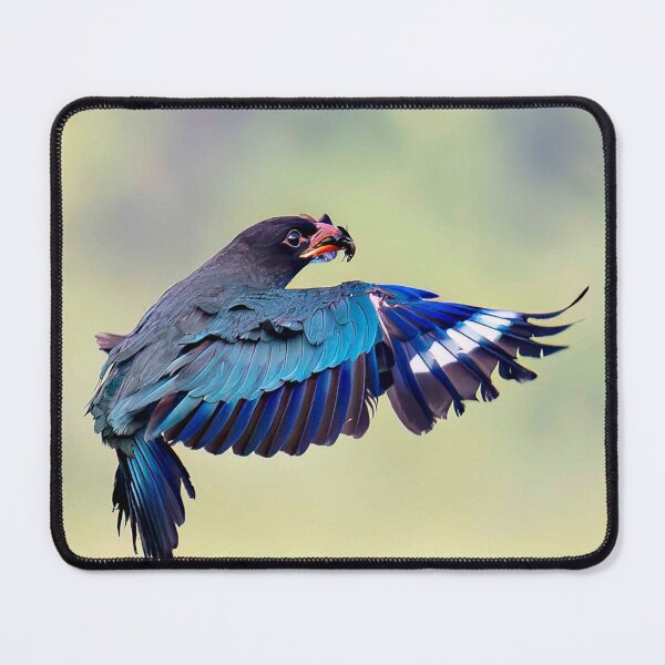 Item preview, Dollarbird Carrying a Beetle in Flight designed and sold by AlongTimber.