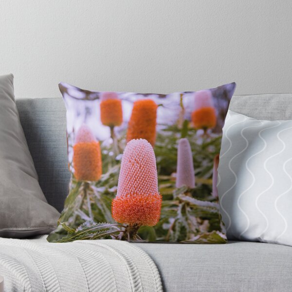Item preview, Australian Native Flower Banksia prionotes (Acorn Banksia) - Vibrant Orange Botanical Art  designed and sold by MinzMarchStudio.