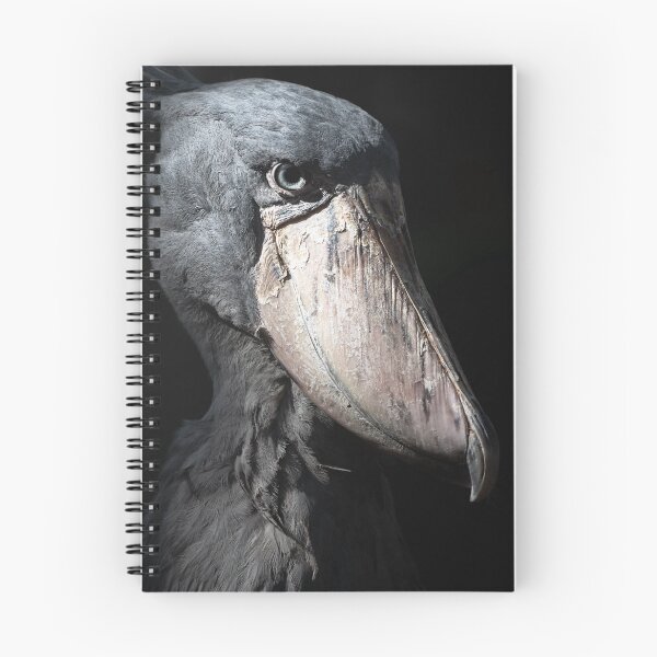 Item preview, Shoebill Stare in the Shadows designed and sold by AlongTimber.