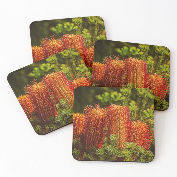 Item preview, Heath-Leaved Orange Banksia Macro – Fine Art Canvas Print designed and sold by MinzMarchStudio.