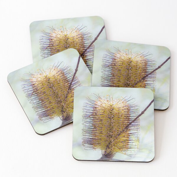 Item preview, Banksia Spinulosa Golden Wildflower Canvas Print | Native Australian Botanical Wall Art designed and sold by MinzMarchStudio.
