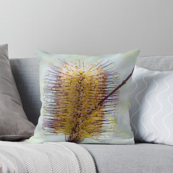 Item preview, Banksia Spinulosa Golden Wildflower Canvas Print | Native Australian Botanical Wall Art designed and sold by MinzMarchStudio.