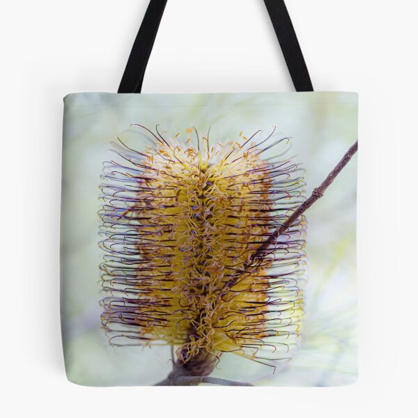 Item preview, Banksia Spinulosa Golden Wildflower Canvas Print | Native Australian Botanical Wall Art designed and sold by MinzMarchStudio.