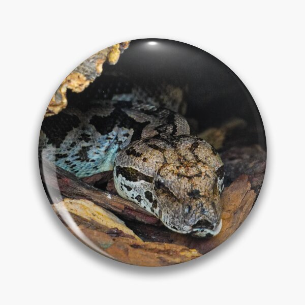 Item preview, Snake in Tree Hollow designed and sold by TheScarletLens.