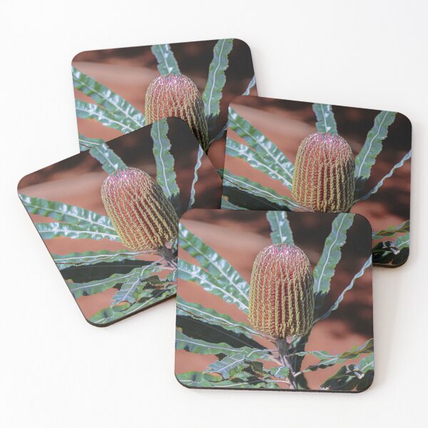Item preview, Firewood Banksia – Fine Art Photography Print designed and sold by MinzMarchStudio.