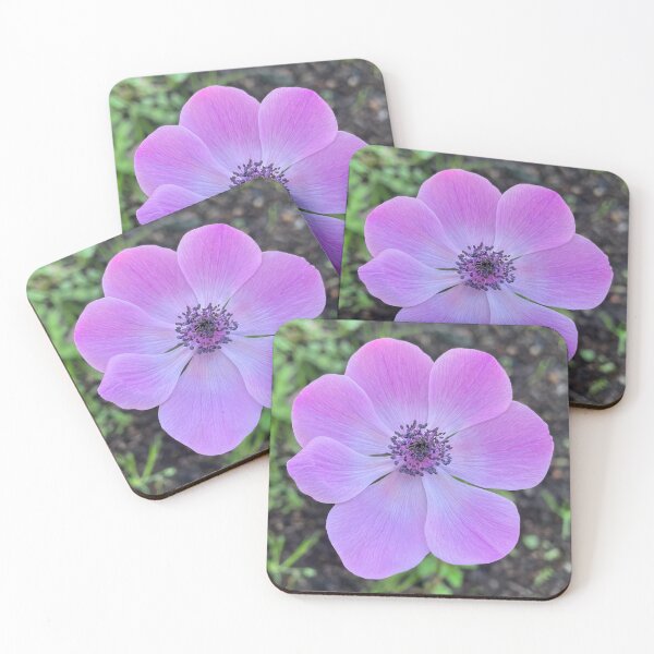 Item preview, Lavender and Pink Anemone designed and sold by Be Captured by Brittany Emma.