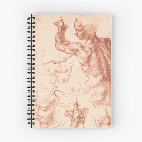 Item preview, Red Chalk Anatomical Figure Studies designed and sold by artofuniverse.
