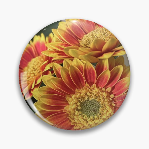 Item preview, Fiery Red and Golden Gerberas designed and sold by Be Captured by Brittany Emma.