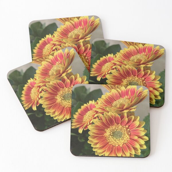 Item preview, Fiery Red and Golden Gerberas designed and sold by Be Captured by Brittany Emma.