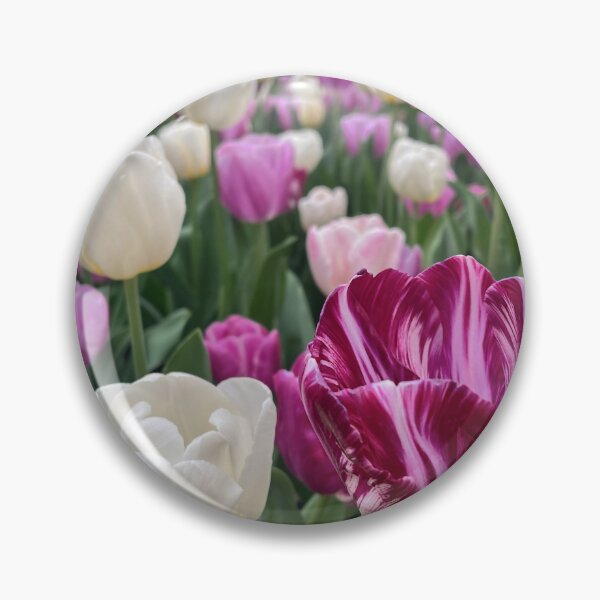 Item preview, Burgundy Striped Tulip Garden designed and sold by Be Captured by Brittany Emma.