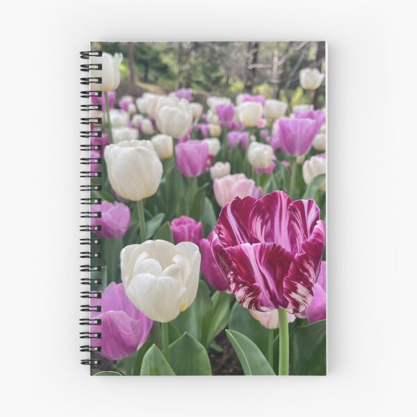 Item preview, Burgundy Striped Tulip Garden designed and sold by Be Captured by Brittany Emma.