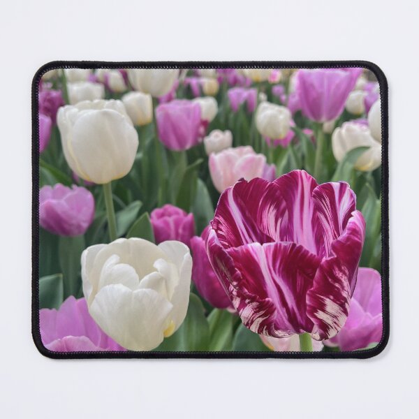 Item preview, Burgundy Striped Tulip Garden designed and sold by Be Captured by Brittany Emma.