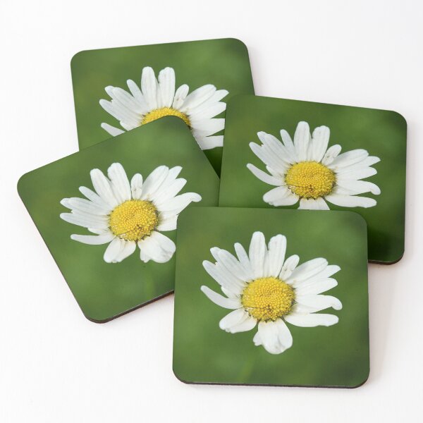 Item preview, Marguerite. Oxeye Daisy designed and sold by Jouko Lehto Photography.
