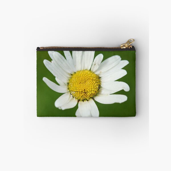 Item preview, Marguerite. Oxeye Daisy designed and sold by Jouko Lehto Photography.