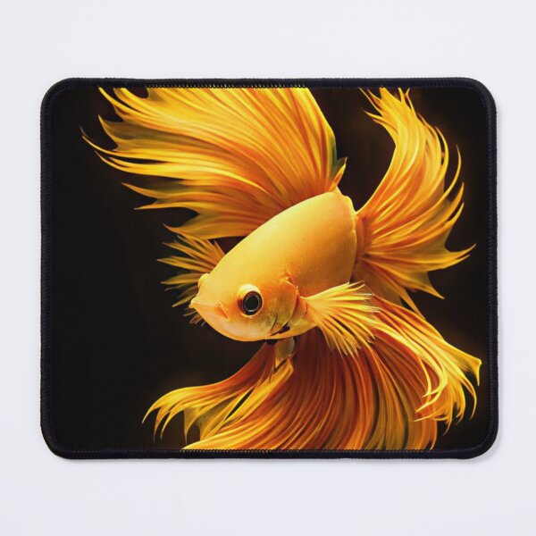 Item preview, Golden Betta designed and sold by Einkstudio.
