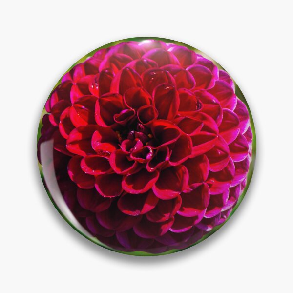 Item preview, Pink Dahlia designed and sold by TheScarletLens.