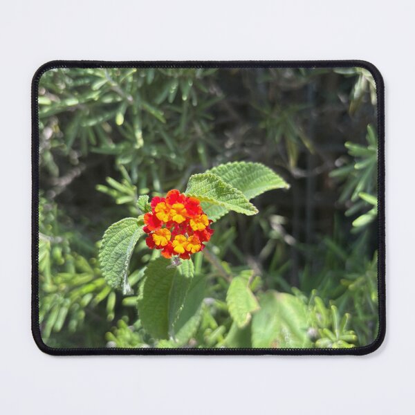 Item preview, Floweys designed and sold by 55synonyms.