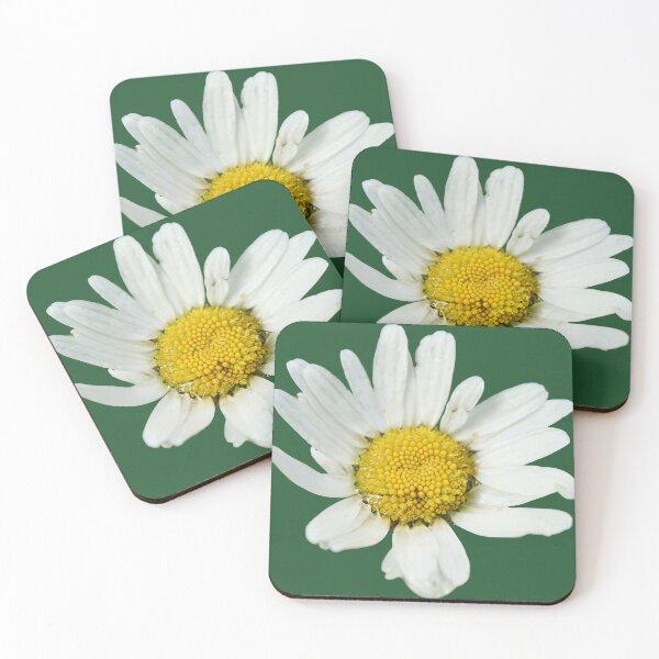 Item preview, Marguerite. Oxeye Daisy transparent designed and sold by Jouko Lehto Photography.