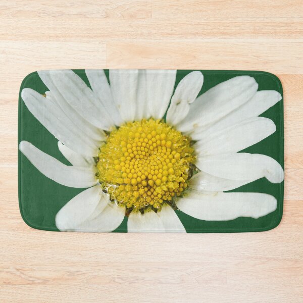 Item preview, Marguerite. Oxeye Daisy transparent designed and sold by Jouko Lehto Photography.