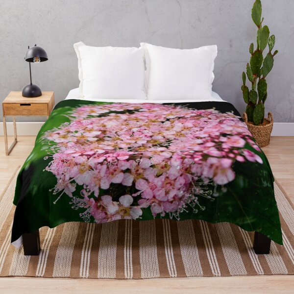 Item preview, Blooming. Rose meadowsweet designed and sold by Jouko Lehto Photography.