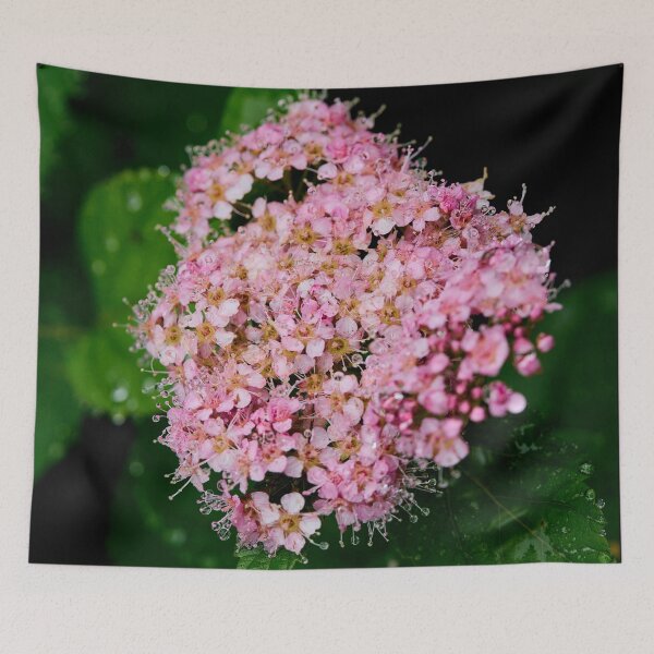 Item preview, Blooming. Rose meadowsweet designed and sold by Jouko Lehto Photography.