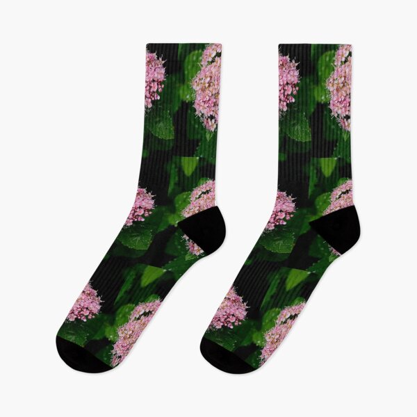 Item preview, Blooming. Rose meadowsweet designed and sold by Jouko Lehto Photography.
